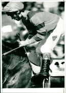 Showjumper - Vintage Photograph