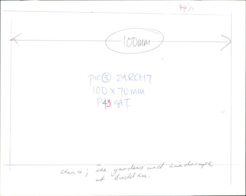 The Gardens  and Landscape  of Buddha. - Vintage Photograph