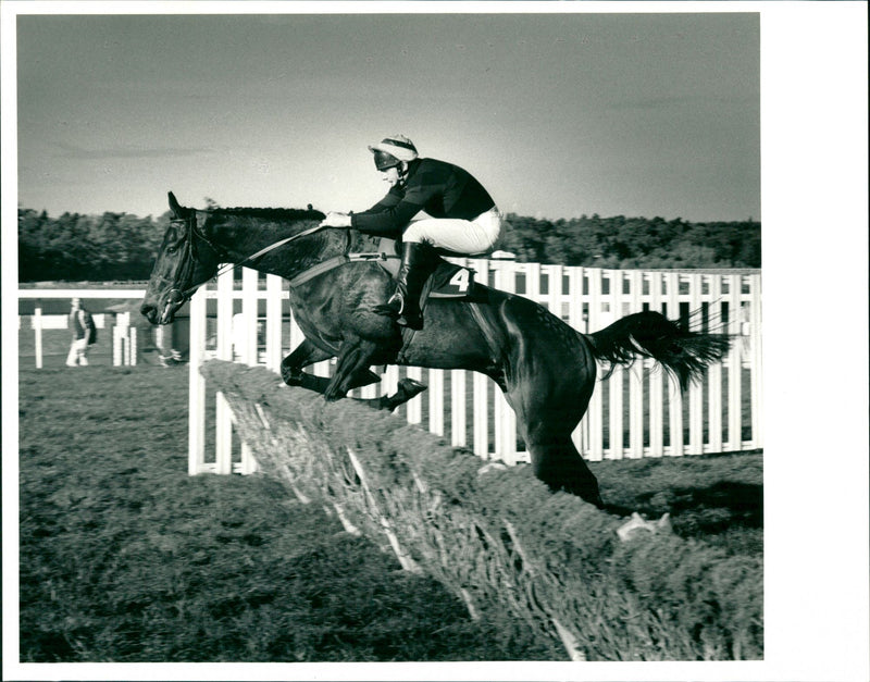 Peter Hobbs on Prince of Diamonds - Vintage Photograph