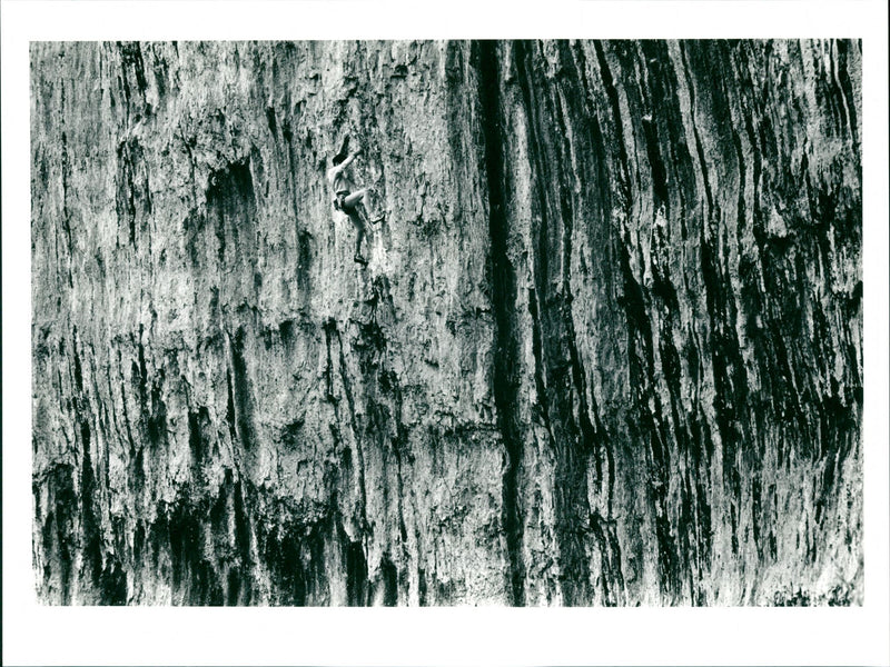 Climbing - Vintage Photograph