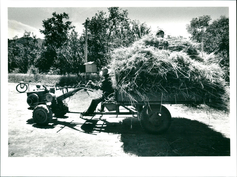 China - Vintage Photograph
