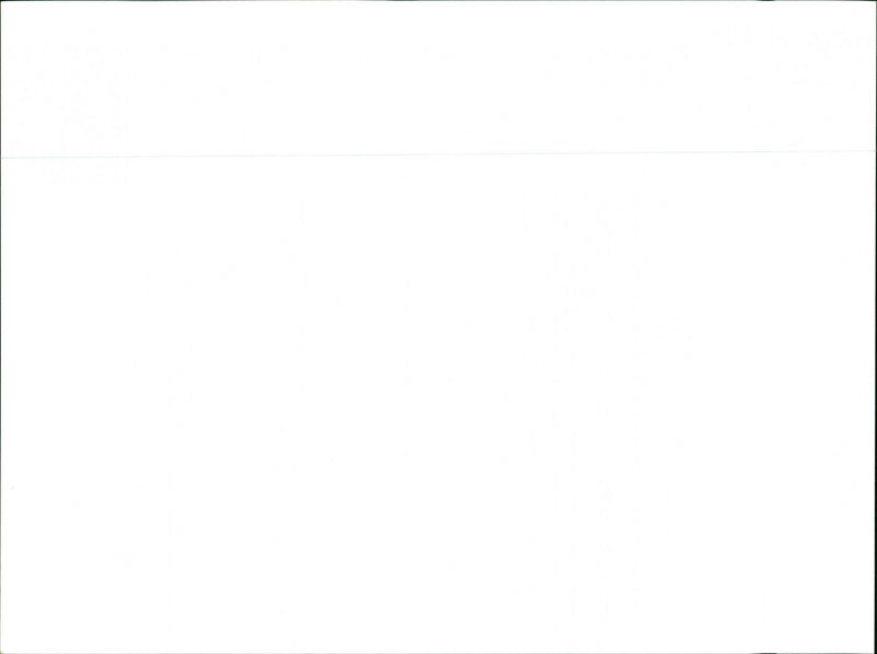 Ballerina Trees - Vintage Photograph