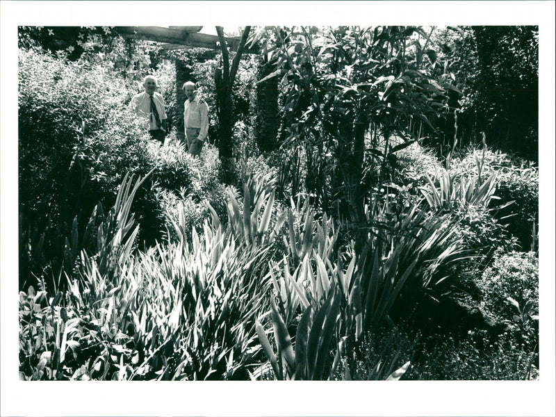 National Gardens Scheme - Vintage Photograph