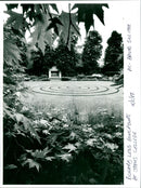 Richard Long Garden Sculpture - Vintage Photograph