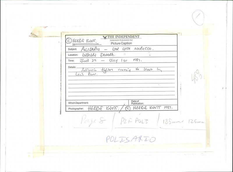 Polisario - Vintage Photograph