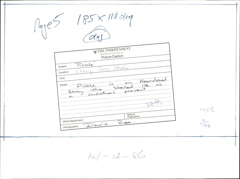 PICKLE DAVID - Vintage Photograph