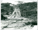 Kenya - Vintage Photograph