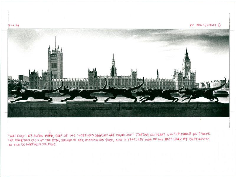 "Mad Dogs" by Alison Reid - Vintage Photograph