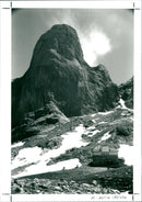 Nature - Vintage Photograph