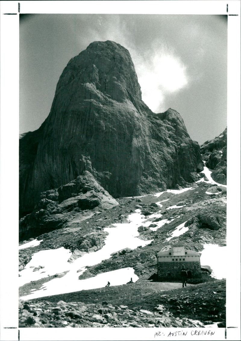 Nature - Vintage Photograph