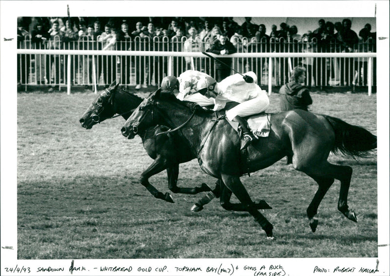 Whitbread Gold Cup - Vintage Photograph