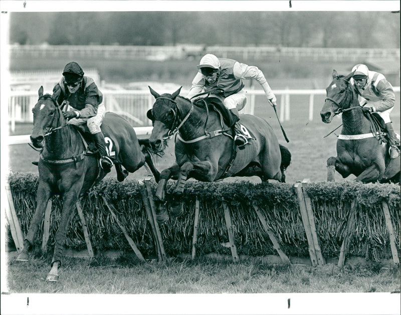 Letheby & Christopher Long Distance Hurdle - Vintage Photograph