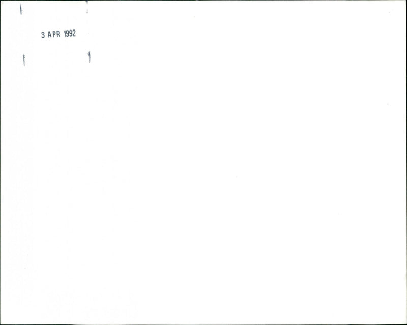 Lulu the Elephant 1969 - Vintage Photograph