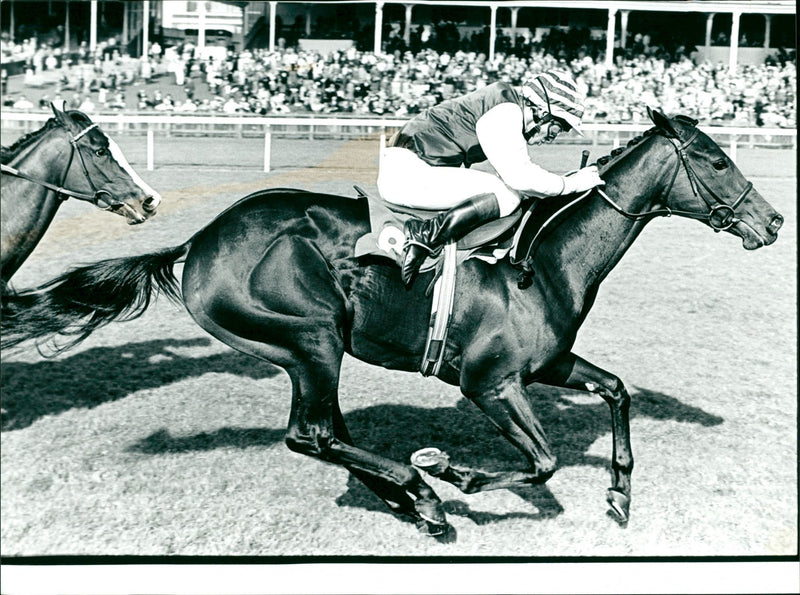 Cheveley Park - Vintage Photograph