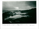 Halibut Fish Farm - Vintage Photograph