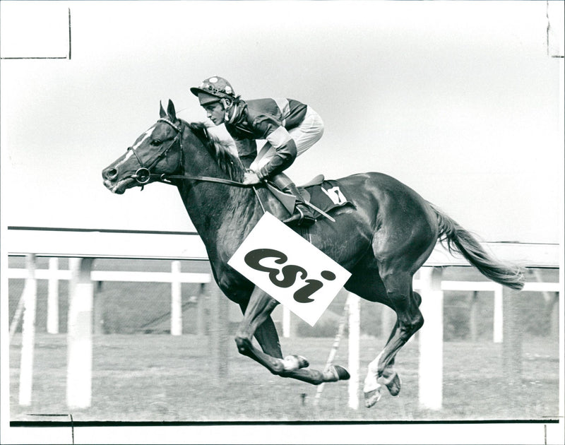 Pat Eddery - Vintage Photograph