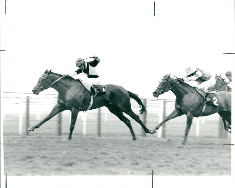 Pat Eddery - Vintage Photograph