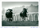 Musicale wins Fred Darling - Vintage Photograph