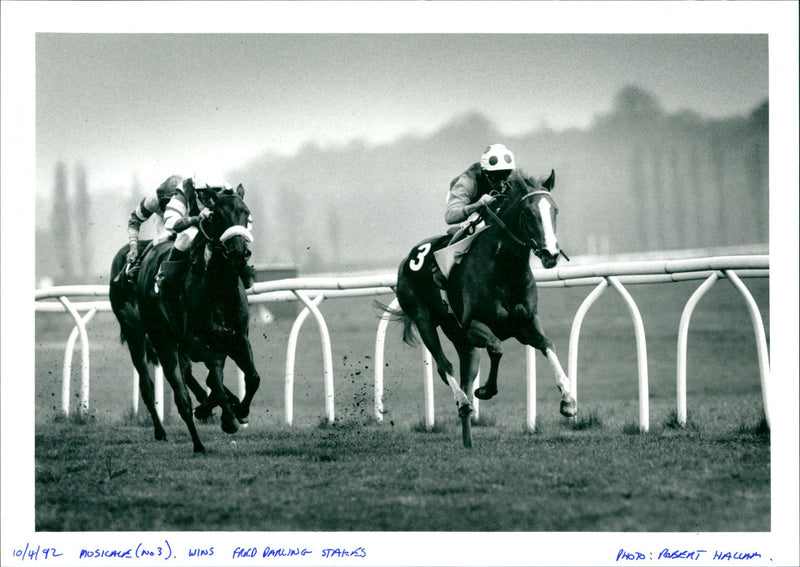 Musicale wins Fred Darling - Vintage Photograph