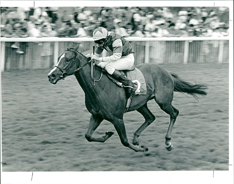 The Lowther Stks York - Vintage Photograph