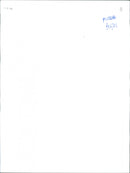 A male model - Vintage Photograph