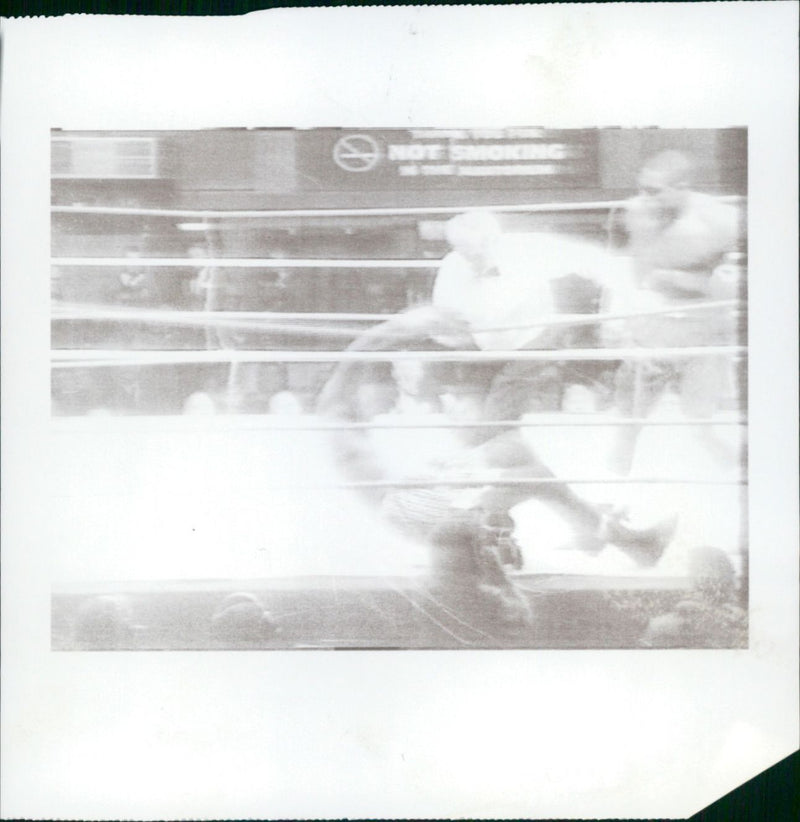 Boxing - Vintage Photograph