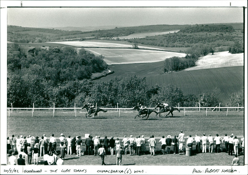 Goodwood - The Lupe Stakes - Vintage Photograph