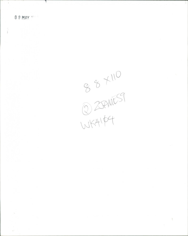 Rooster - Vintage Photograph