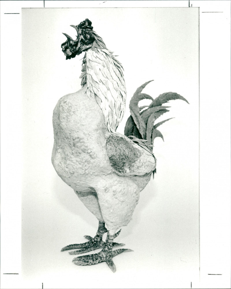 Rooster - Vintage Photograph