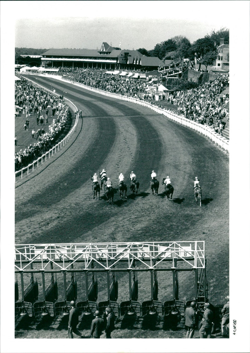 Horse Racing - Vintage Photograph