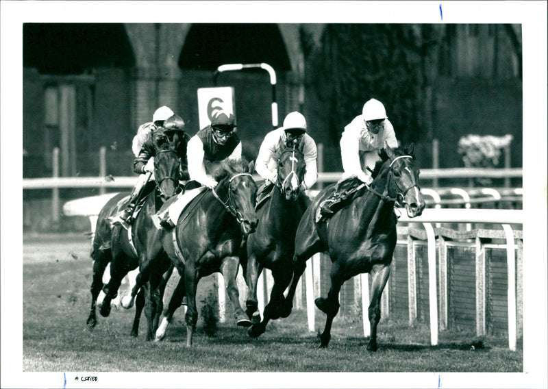 Horse Racing - Vintage Photograph