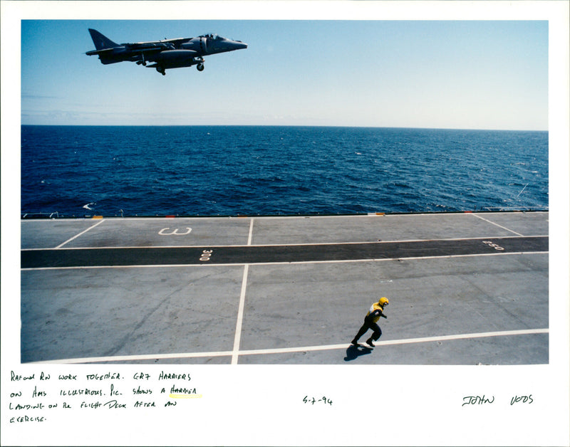 Harrier - Vintage Photograph