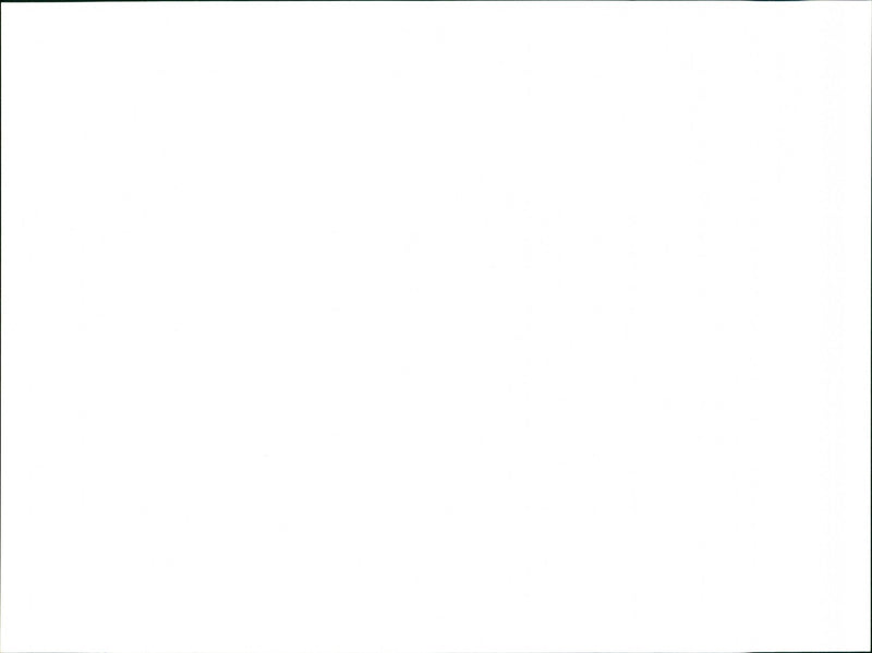 Heligan - Vintage Photograph