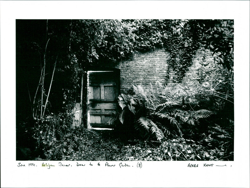 Heligan - Vintage Photograph