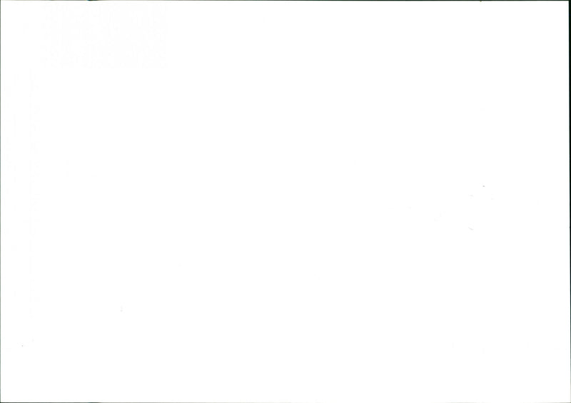 Vauxhall Tigra - Vintage Photograph