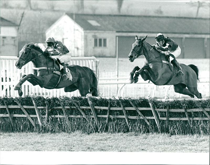 The Hare and Hound Novices Hurdle - Vintage Photograph
