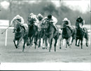 The Bonusprint Masaka Stakes - Vintage Photograph