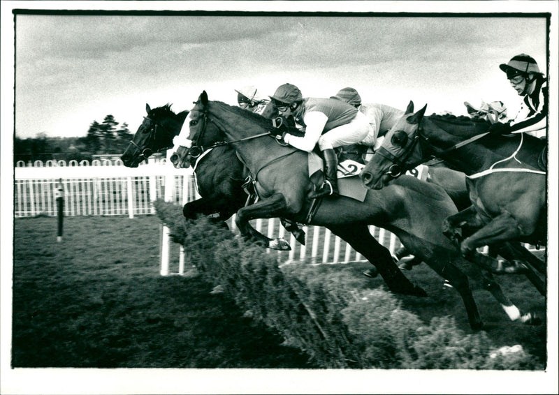 Horse Racing - Vintage Photograph