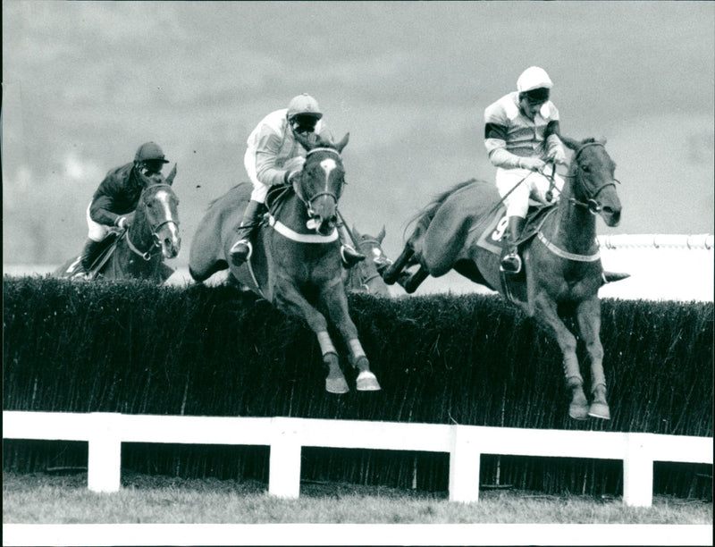 The Cathcart Challenge Cup - Vintage Photograph