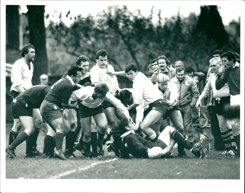 Rugby. - Vintage Photograph