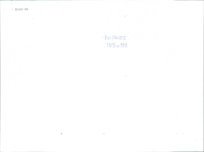 Freddie Mercury - Vintage Photograph