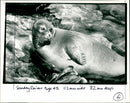 Freshwater seal - Vintage Photograph