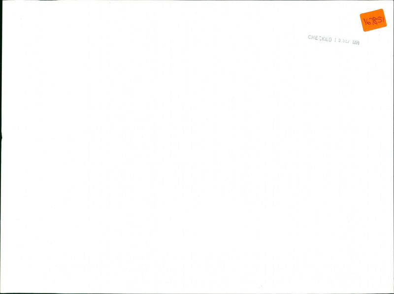 Limestone - Vintage Photograph