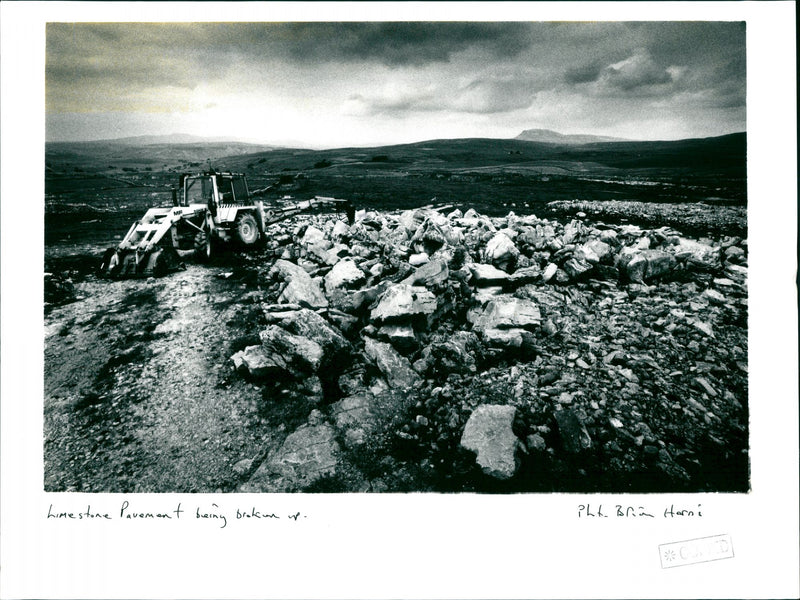 Limestone - Vintage Photograph