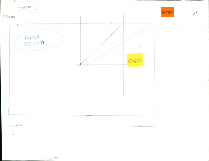 Germaine Greer - Vintage Photograph