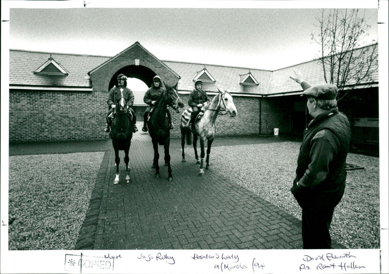 Muse Jugo Risky, Hasalaus Lady and David Elsworth - Vintage Photograph