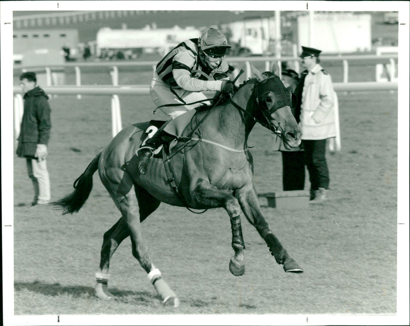 Olympian / Sundamme - Vintage Photograph