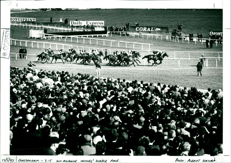 Cheltenham - 2.15 Sun Alliance novices' Hurdle race - Vintage Photograph