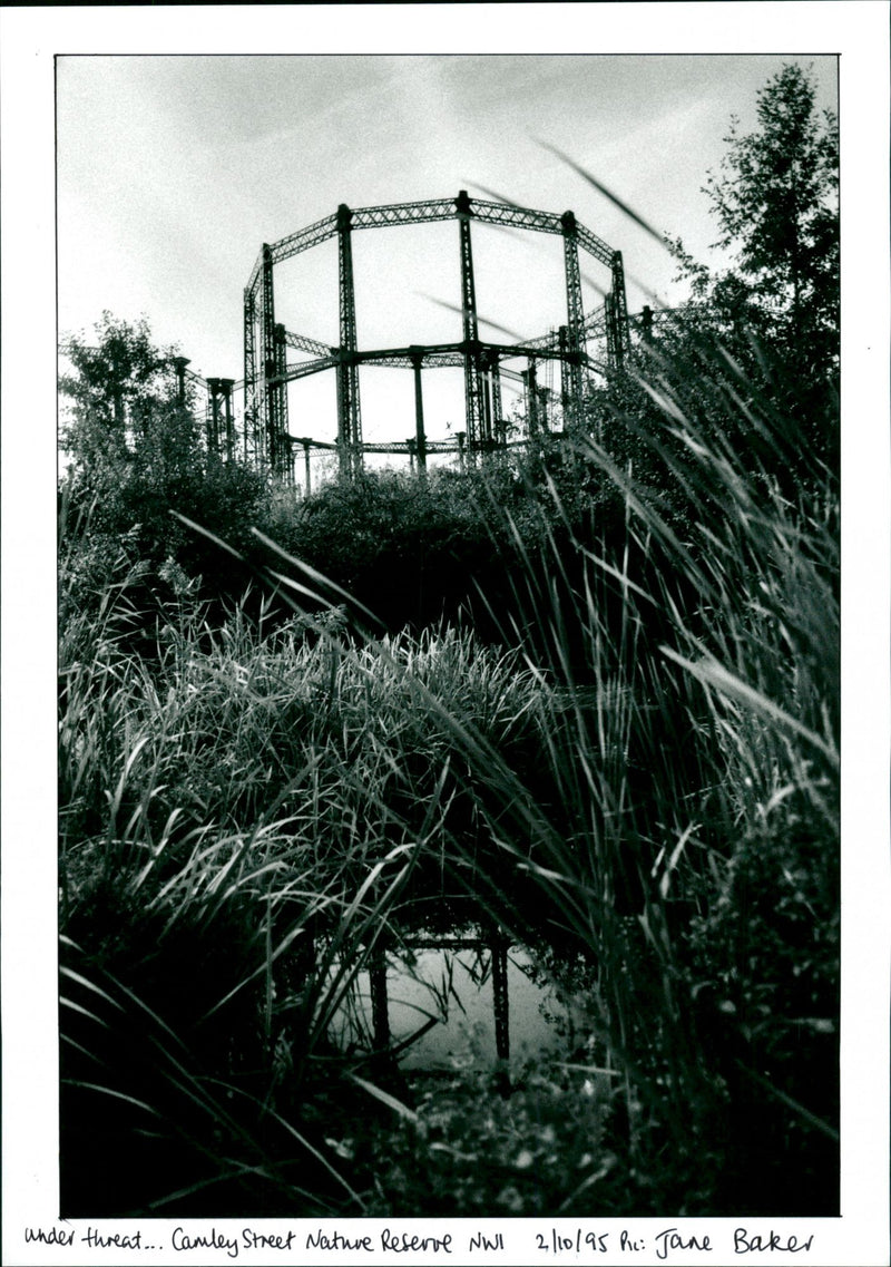 Camley Street Nature Reserve - Vintage Photograph