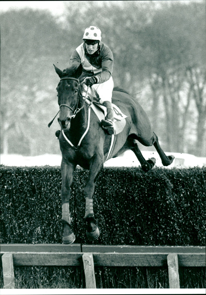 The BMW series chase (qualified) Carrick Hill Lad - Vintage Photograph